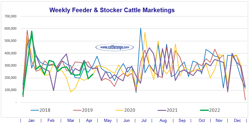 Weekly Feeder & Stocker Cattle Marketings for week ending 4-23-22