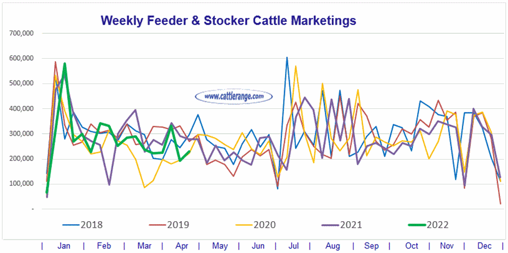 Weekly Feeder & Stocker Cattle Marketings for week ending 4-23-22
