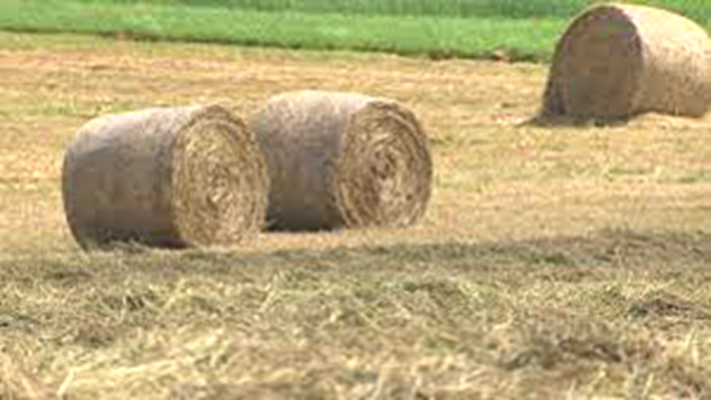 Record Low Hay Stocks This Winter