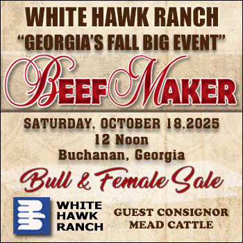 White Hawk Ranch Georgia's Fall Big Event Bull & Female Sale