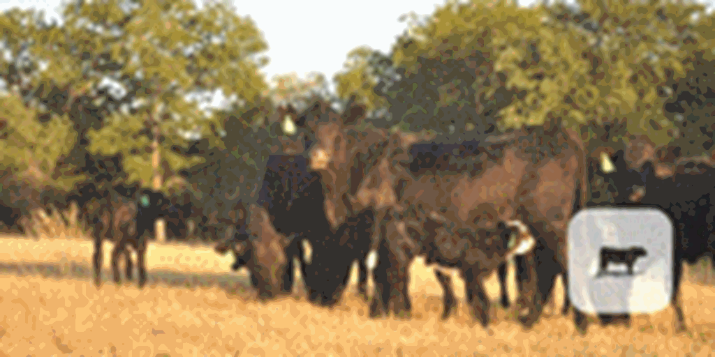 Listings Cattle Range