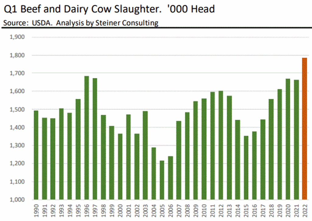 Unprecedented Cow Liquidation in Q1