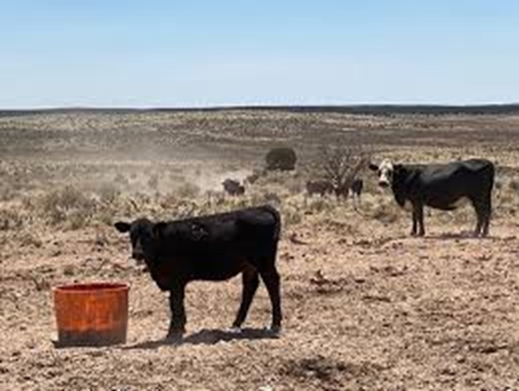 Drought in the West has set a U.S. Drought Monitor Record