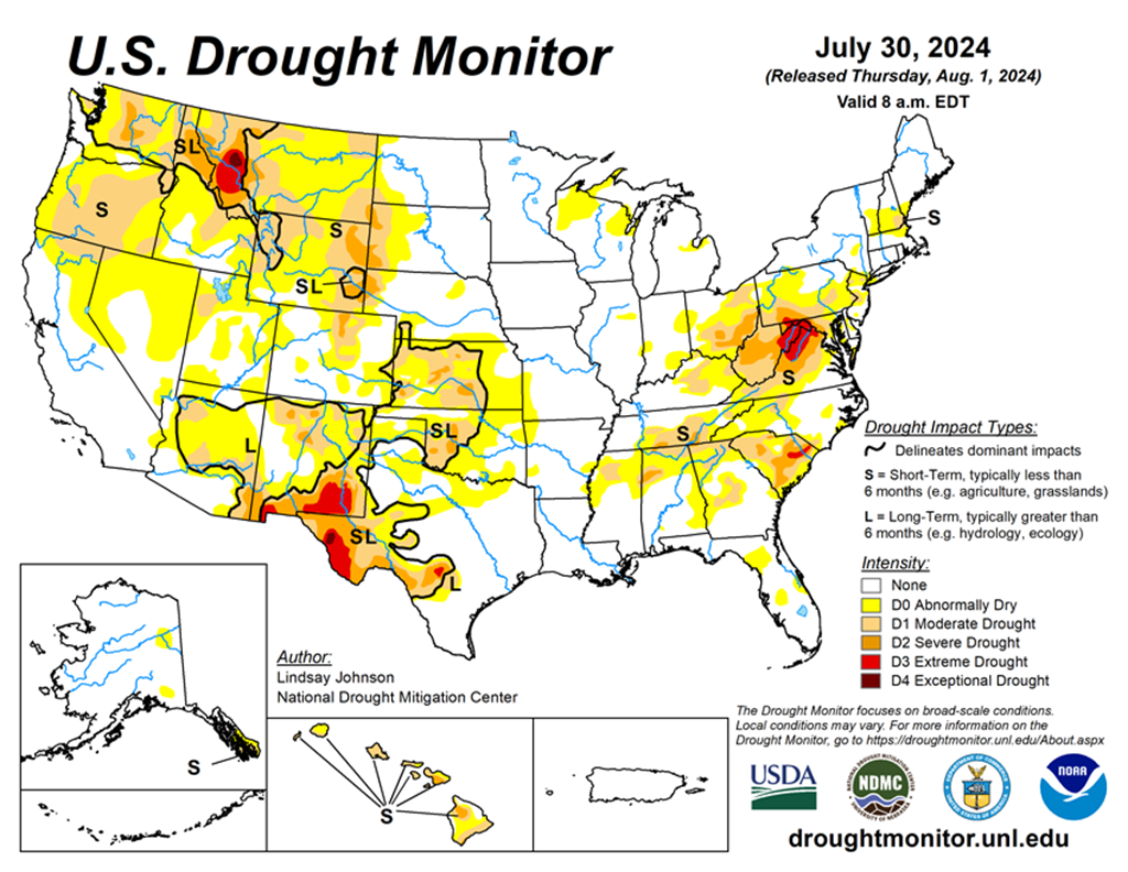 19.91% of the Lower 48 States are in Drought