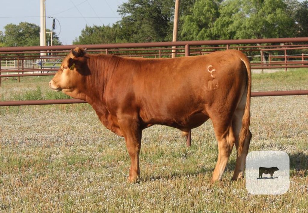 Cattle Range Listing Photo