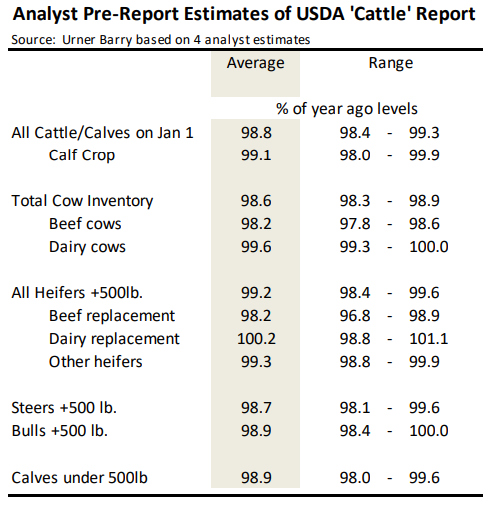 Analyst Estimates of January 1 Cattle Inventory Report