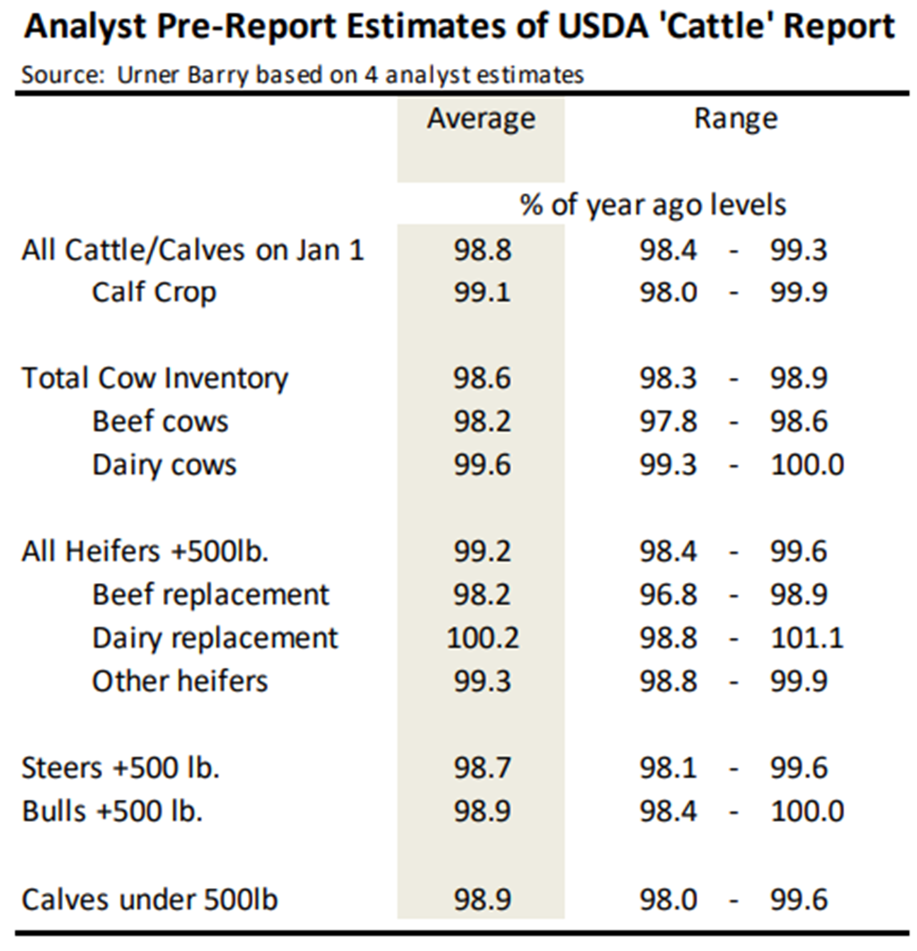 Analyst Estimates of January 1 Cattle Inventory Report