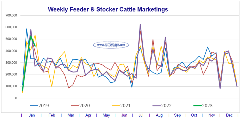 Feeder & Stocker Cattle Marketings for the week ending 1/21/23