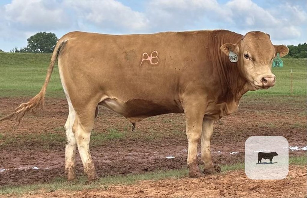 Cattle Range Listing Photo