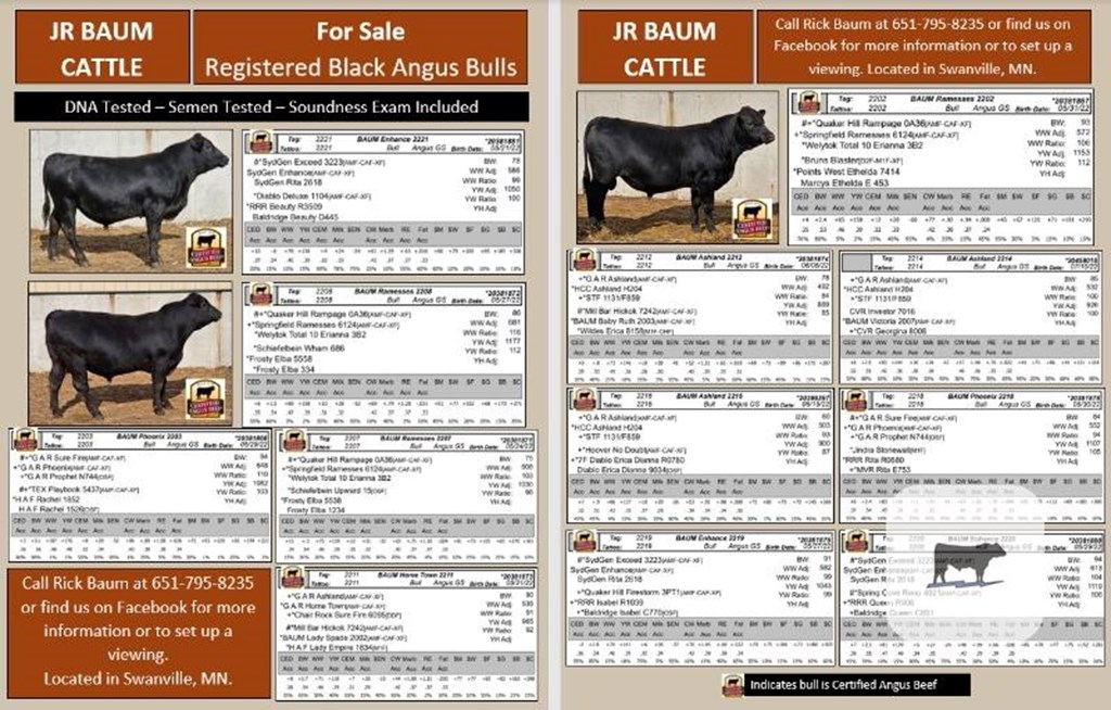 Cattle Range Listing Photo