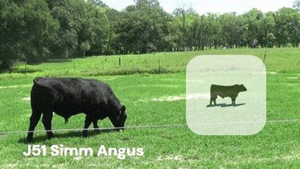 Cattle Range Listing Photo