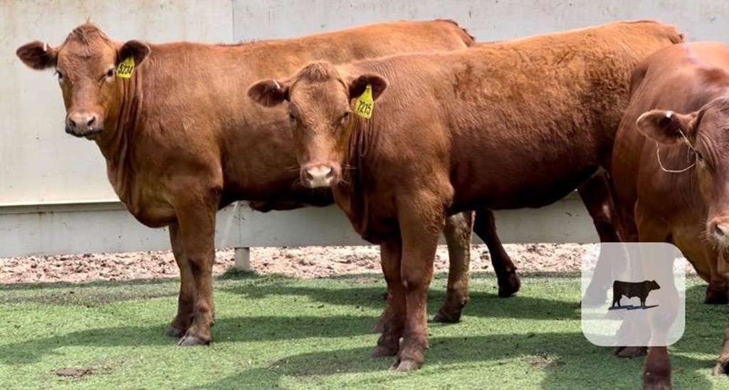 Cattle Range Listing Photo