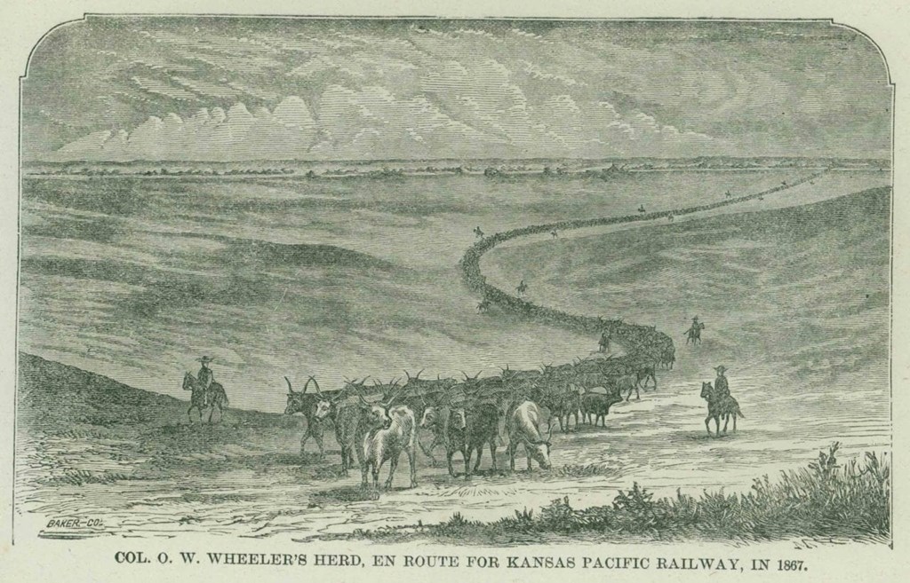 Historical Review of the U.S. Beef Cattle Industry – Part 2