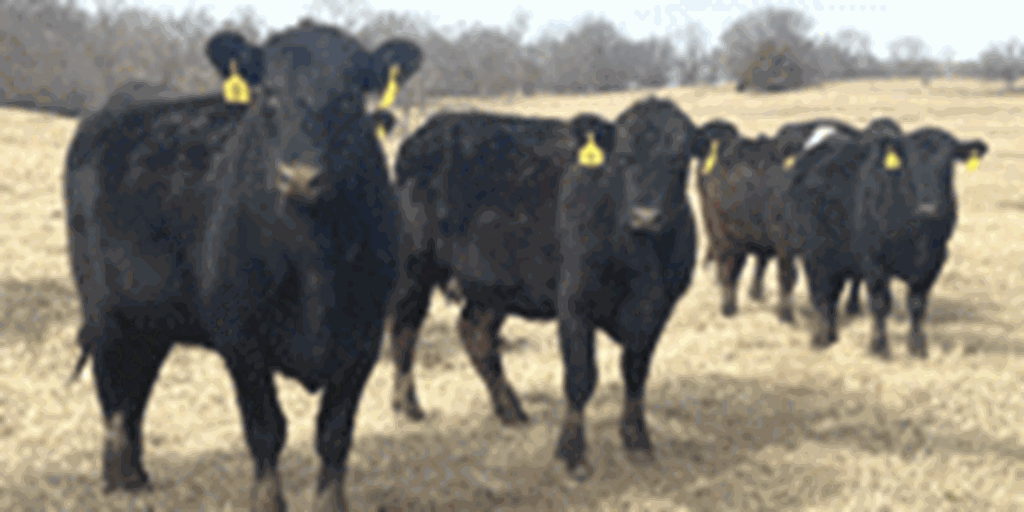 Listings Cattle Range