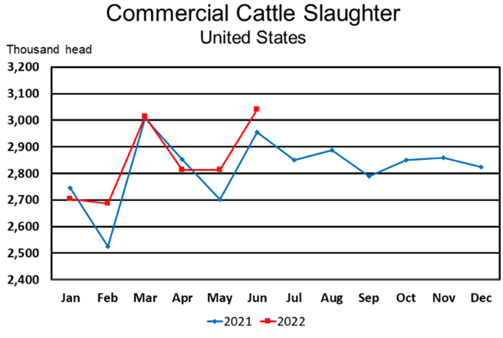 July Livestock Slaughter Report: Record High Beef Production