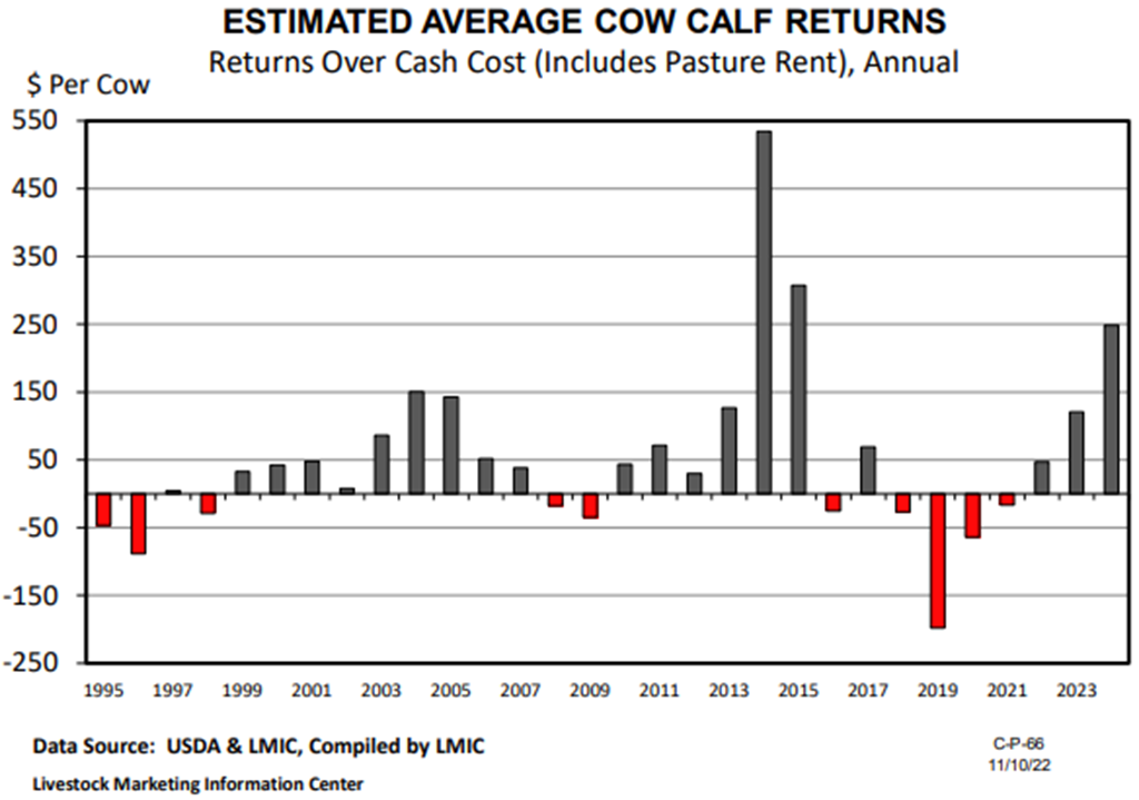 Stocker Steer Prices; Trends & Outlook