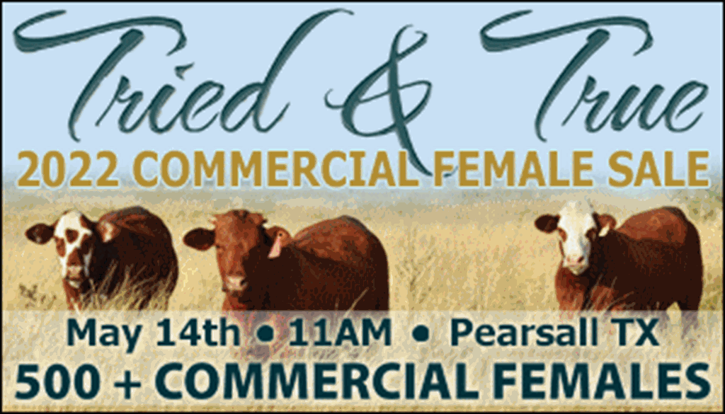 SS-Tried and True Commercial Female Sale-05-14-2022
