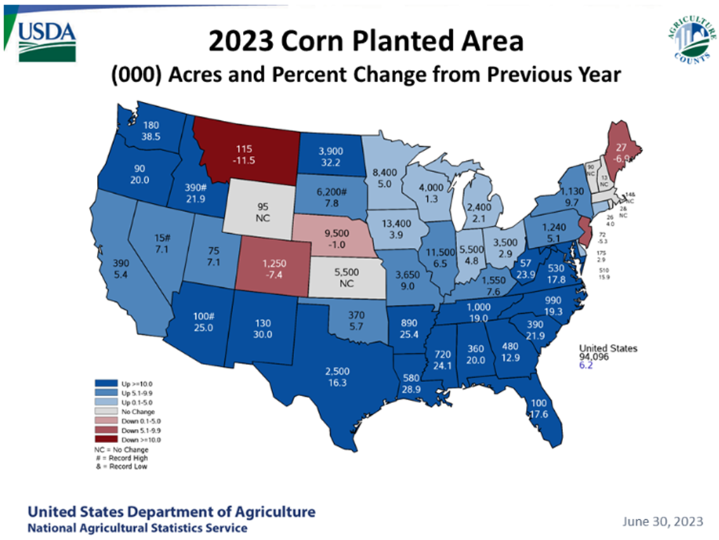 Corn Planted Acreage Up 6 Percent from 2022