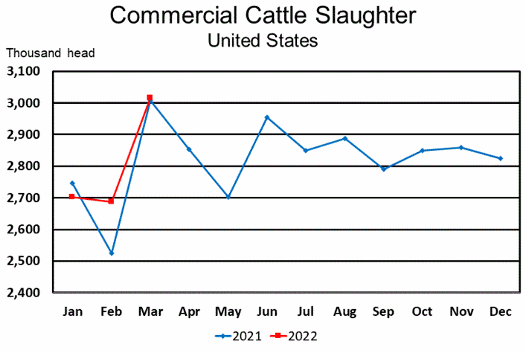 April Livestock Slaughter Report: Record High Beef Production in March