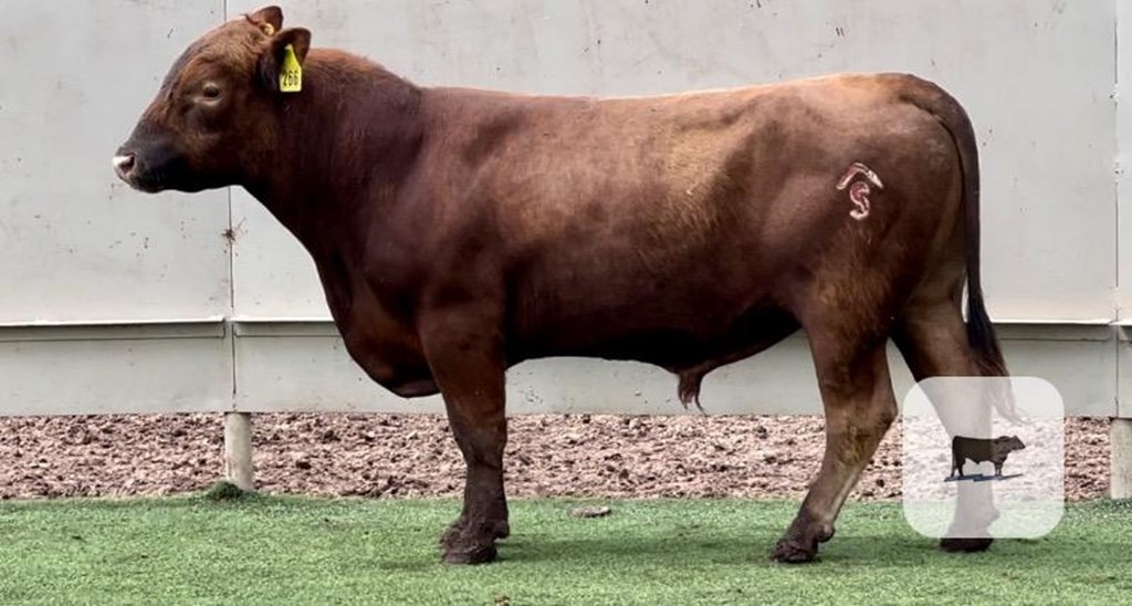 Cattle Range Listing Photo