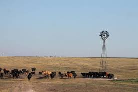 Cattle Cycle Scenario 2: Drought Abates