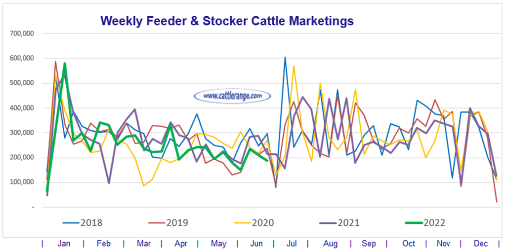 Weekly Feeder & Stocker Cattle Marketings for week ending 6/25/22