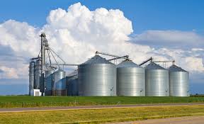 USDA June Grain Stocks Report