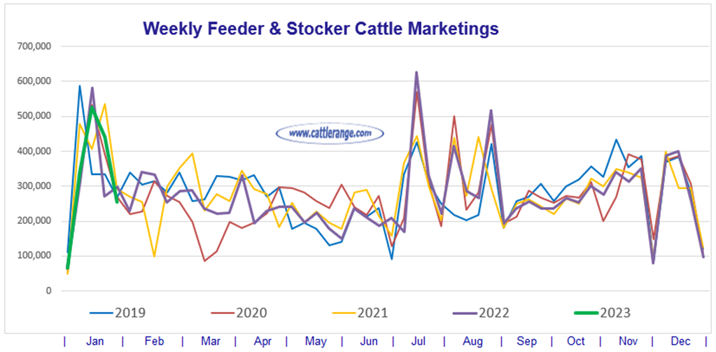 Feeder & Stocker Cattle Marketings for the week ending 1/28/23