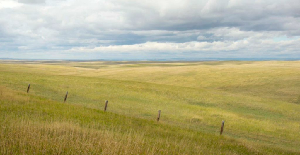 Pasture & Range Conditions as of 7/23/23