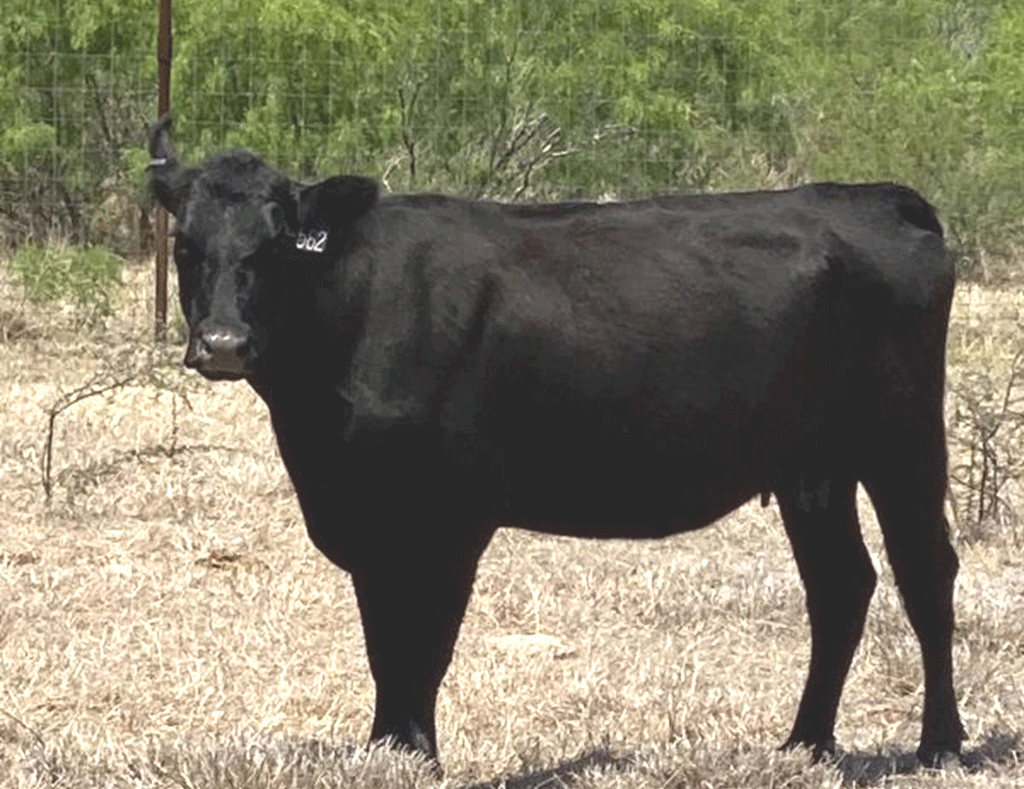 Pasture & Range Conditions as of 5/16/22