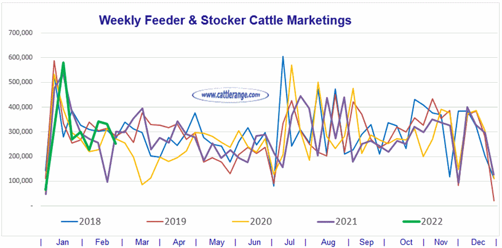Weekly Feeder & Stocker Cattle Marketings for week ending 02/26/22