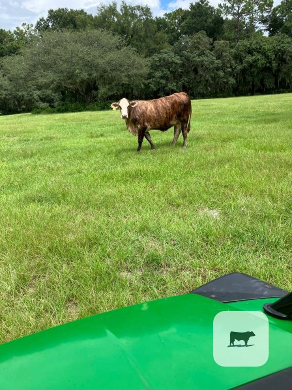 Cattle Range Listing Photo