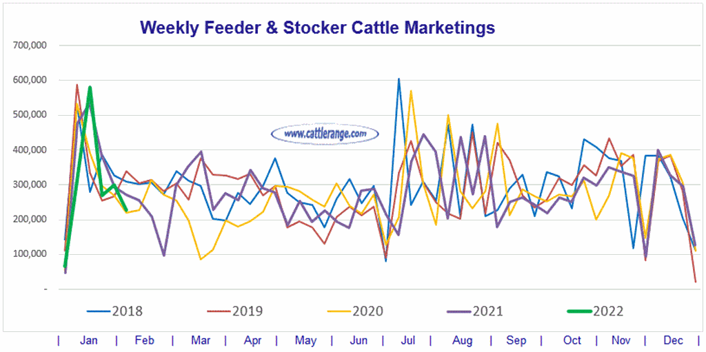 Weekly Feeder & Stocker Cattle Marketings for week ending 02/05/22