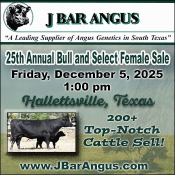 J Bar Angus 25th Annual Bull & Select Female Sale