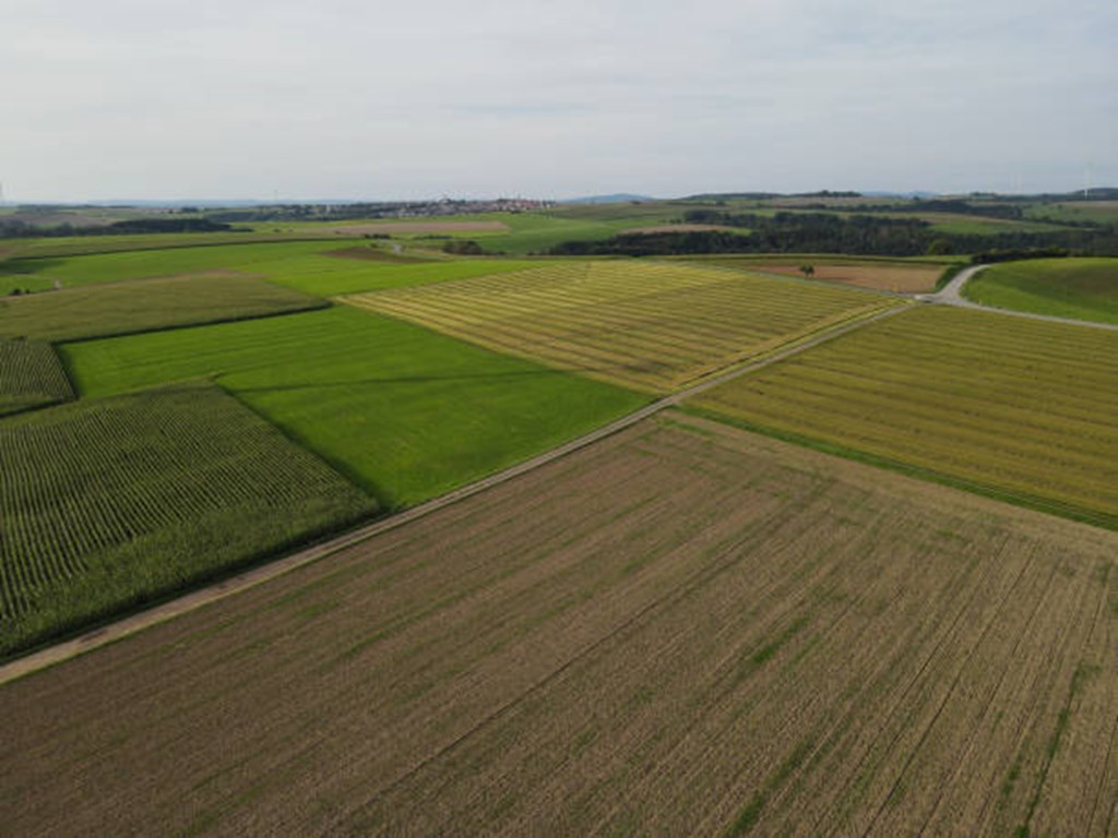 Corn Belt Farmland Values Have Averaged a 12% Increase in Recent Years