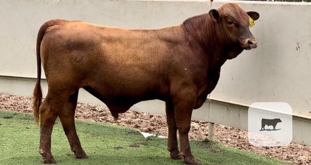 Cattle Range Listing Photo