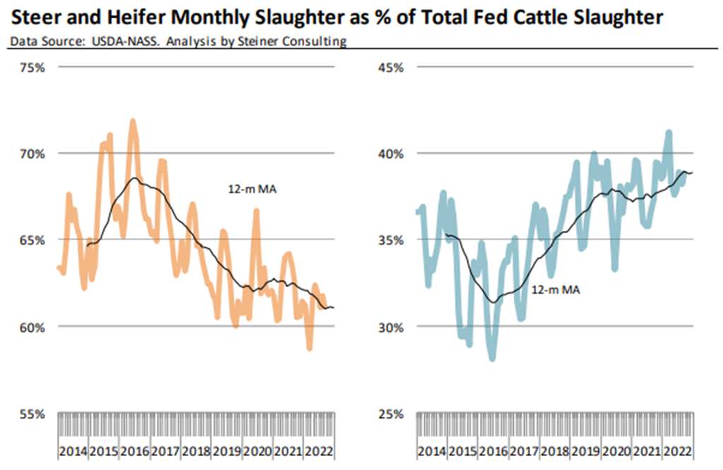 Female Cattle Slaughter Responsible for Unexpected Increased Beef Production