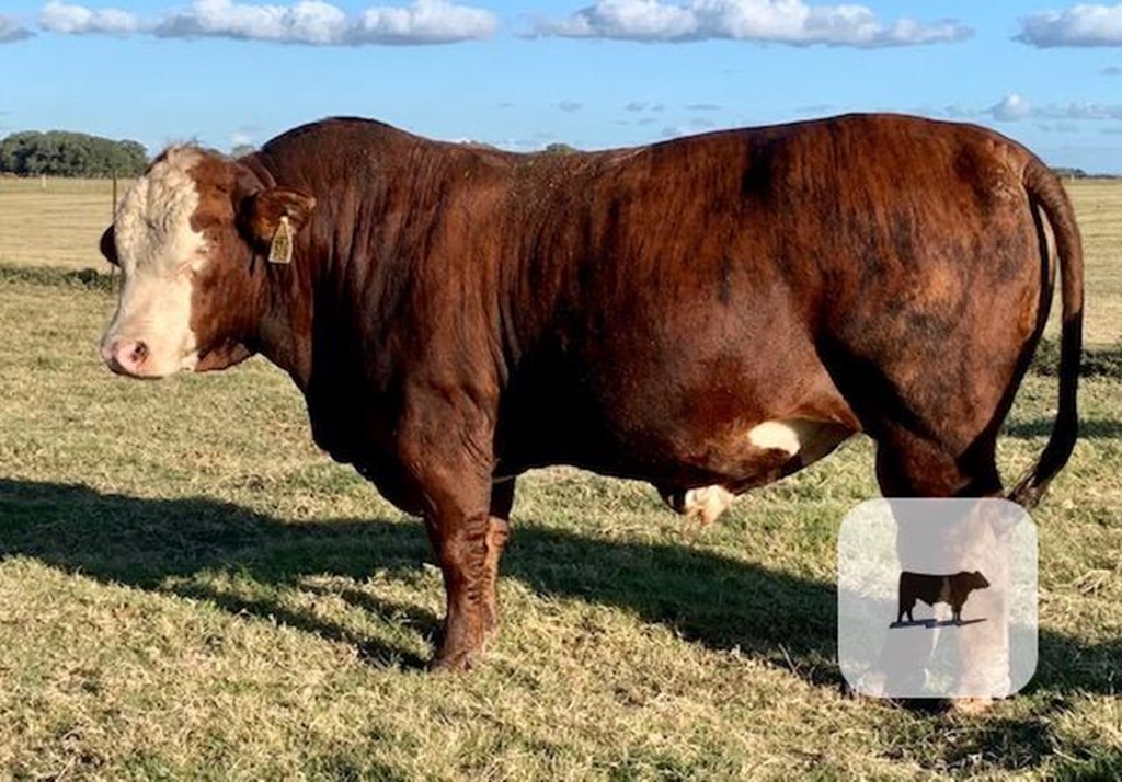 Cattle Range Listing Photo