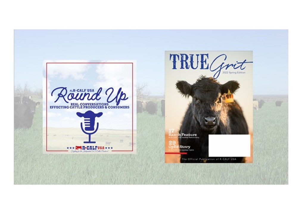 R-CALF USA Announces Launch of Magazine, Podcast