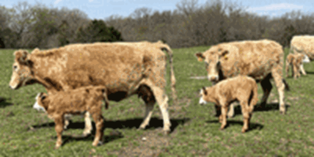 Listings Cattle Range