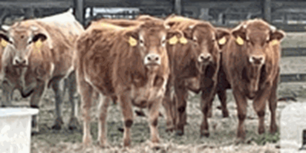 Listings Cattle Range