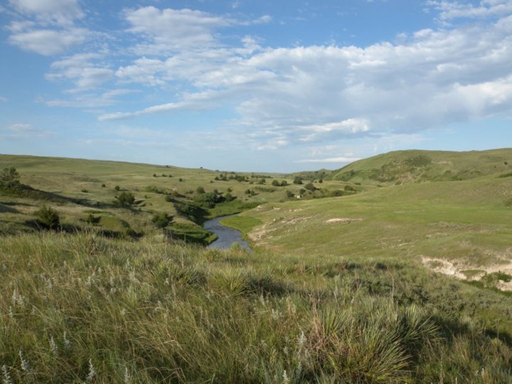 Pasture & Range Conditions as of 8/27/23