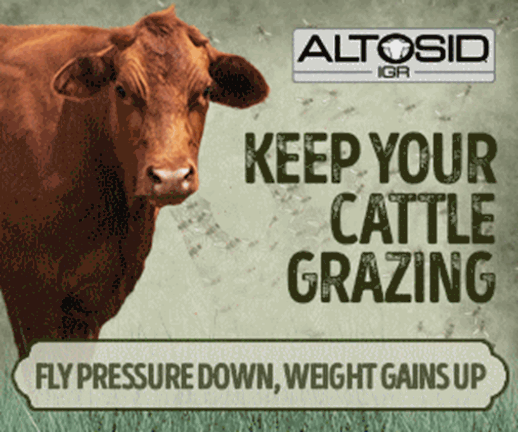 Altosid IGR Horn Fly Control
