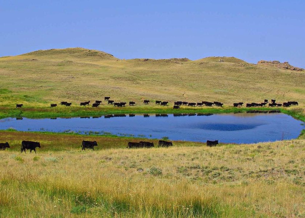 Pasture & Range Conditions as of 9/3/23