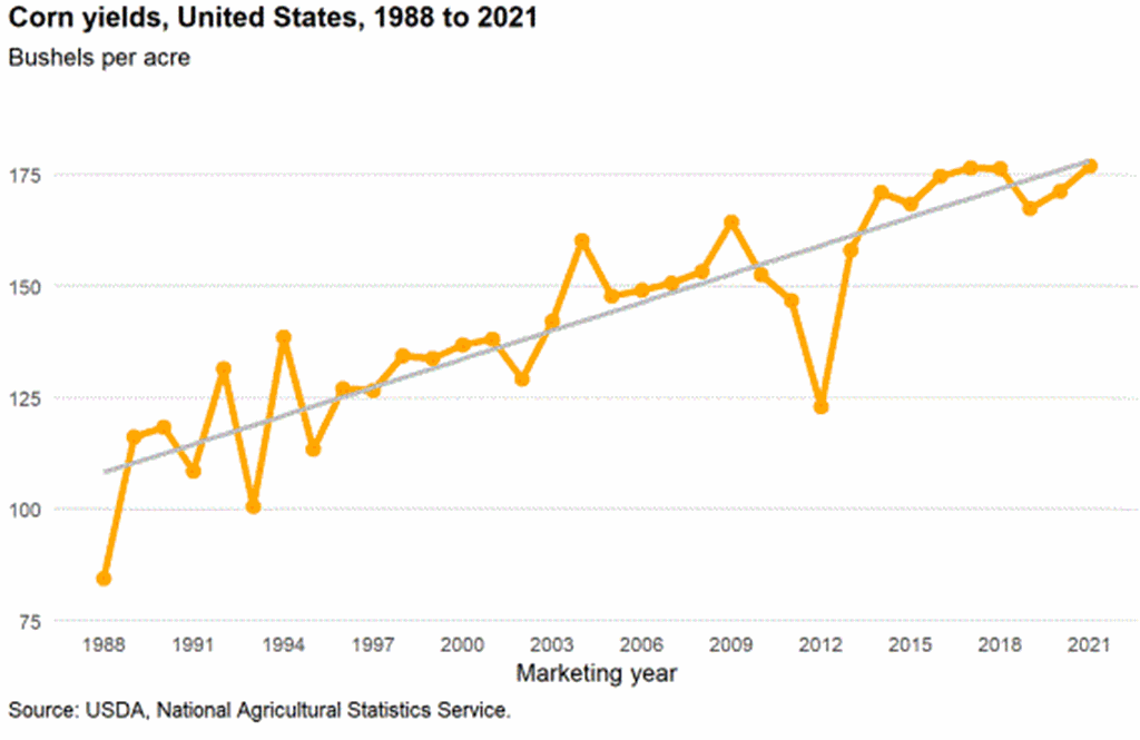 U.S. Corn Supplies Boosted by Record Yield Reported for 2021/22