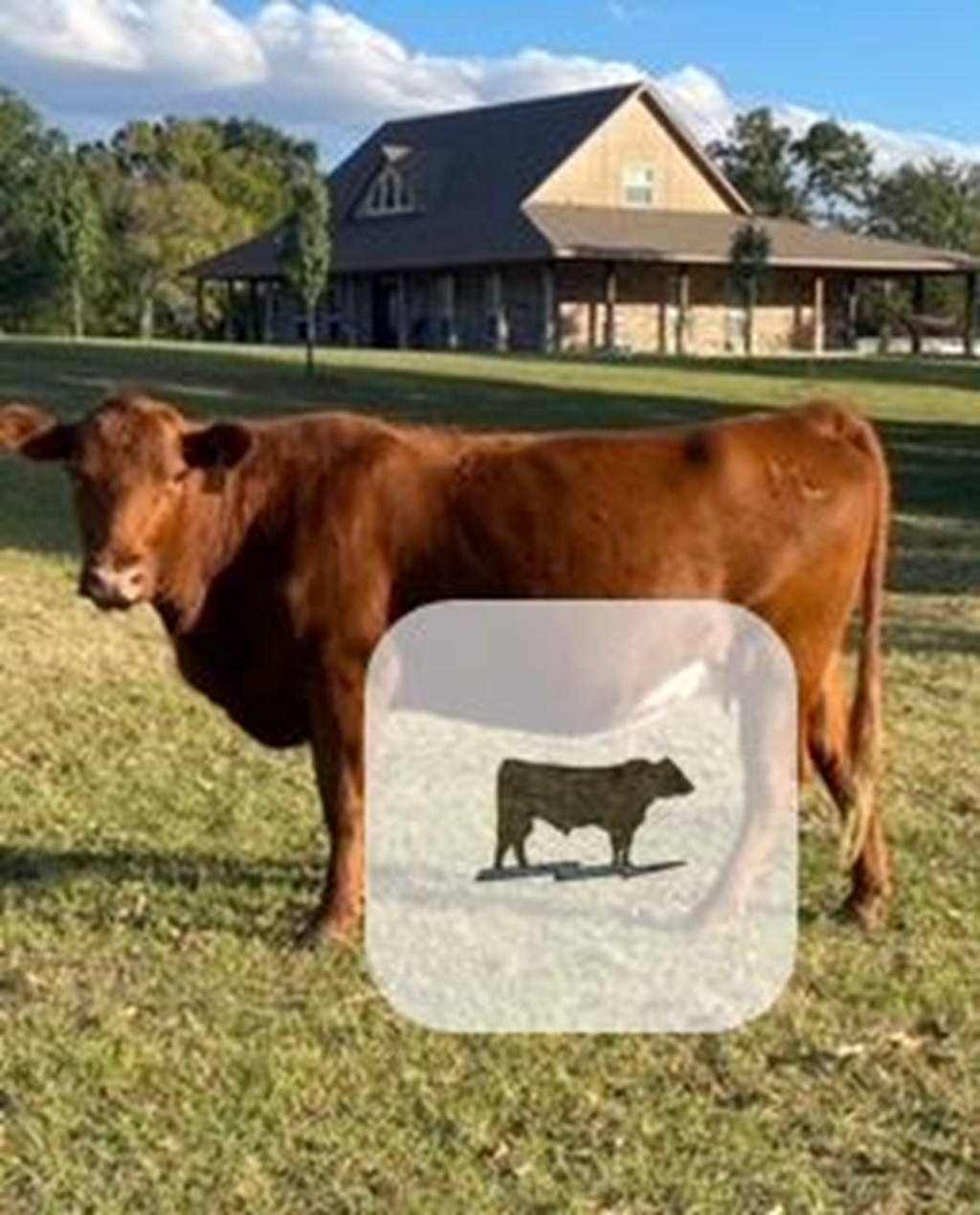 Cattle Range Listing Photo