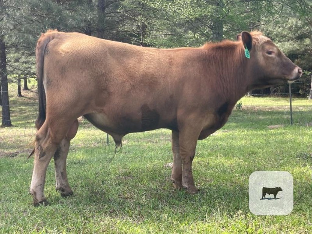 Cattle Range Listing Photo