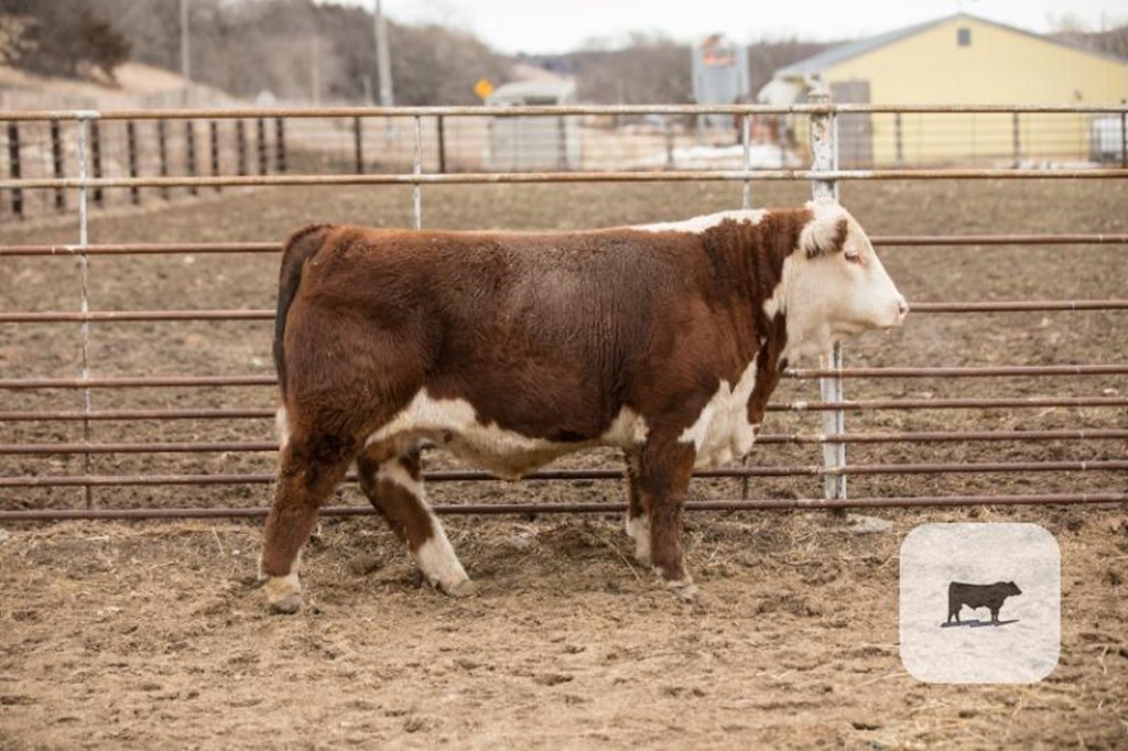 Cattle Range Listing Photo