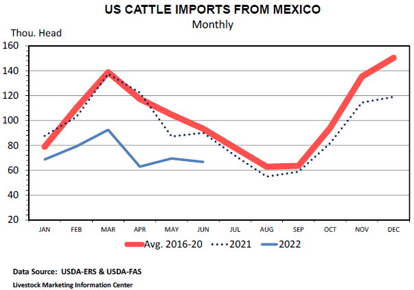 U.S. Cattle Import Data for 1st Half of 2022