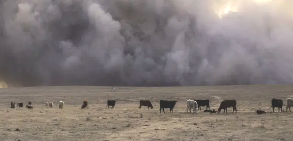 Update on Historic Panhandle Wildfires